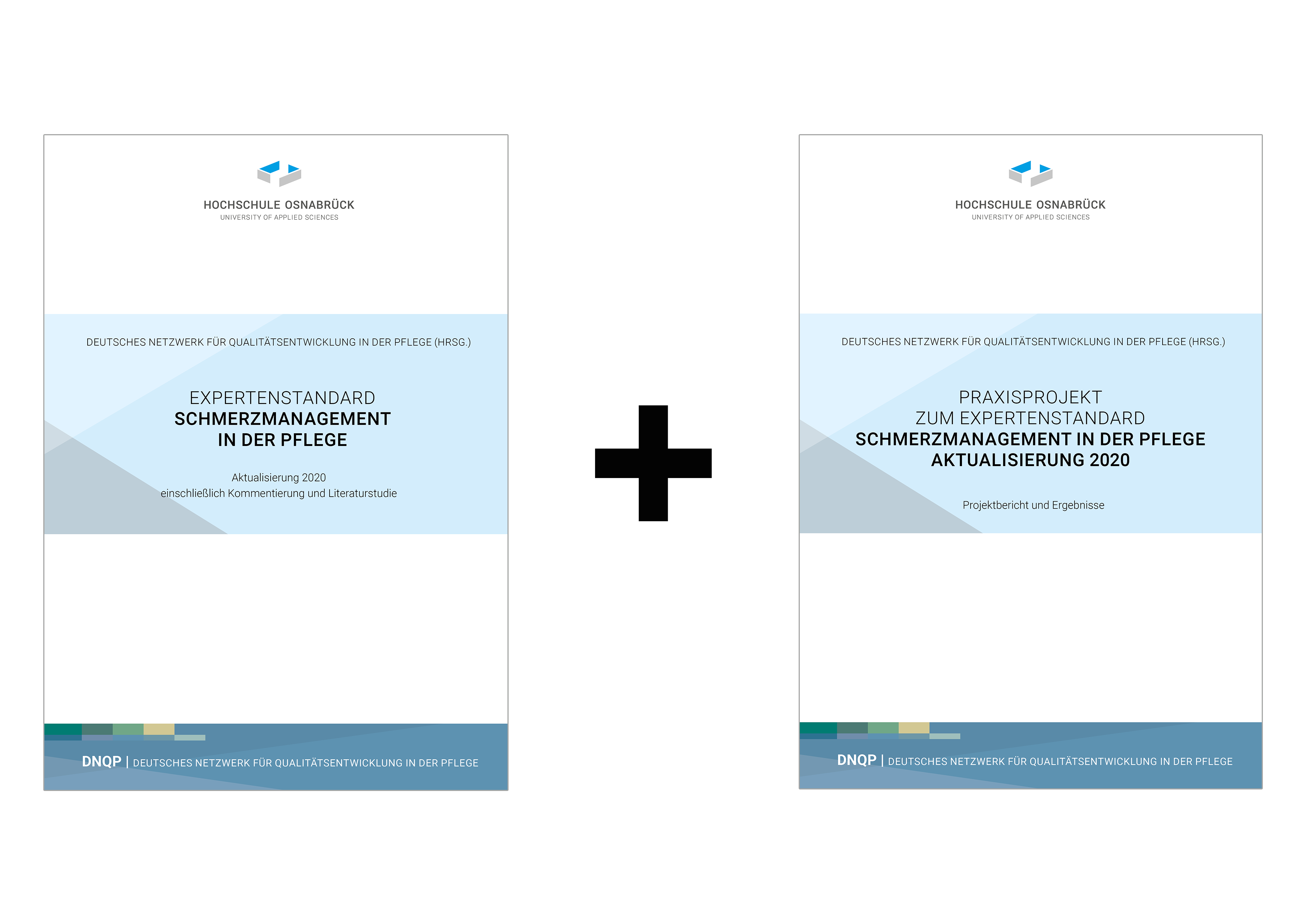 Bundle: Expertenstandard Schmerzmanagement und Praxisprojektbericht