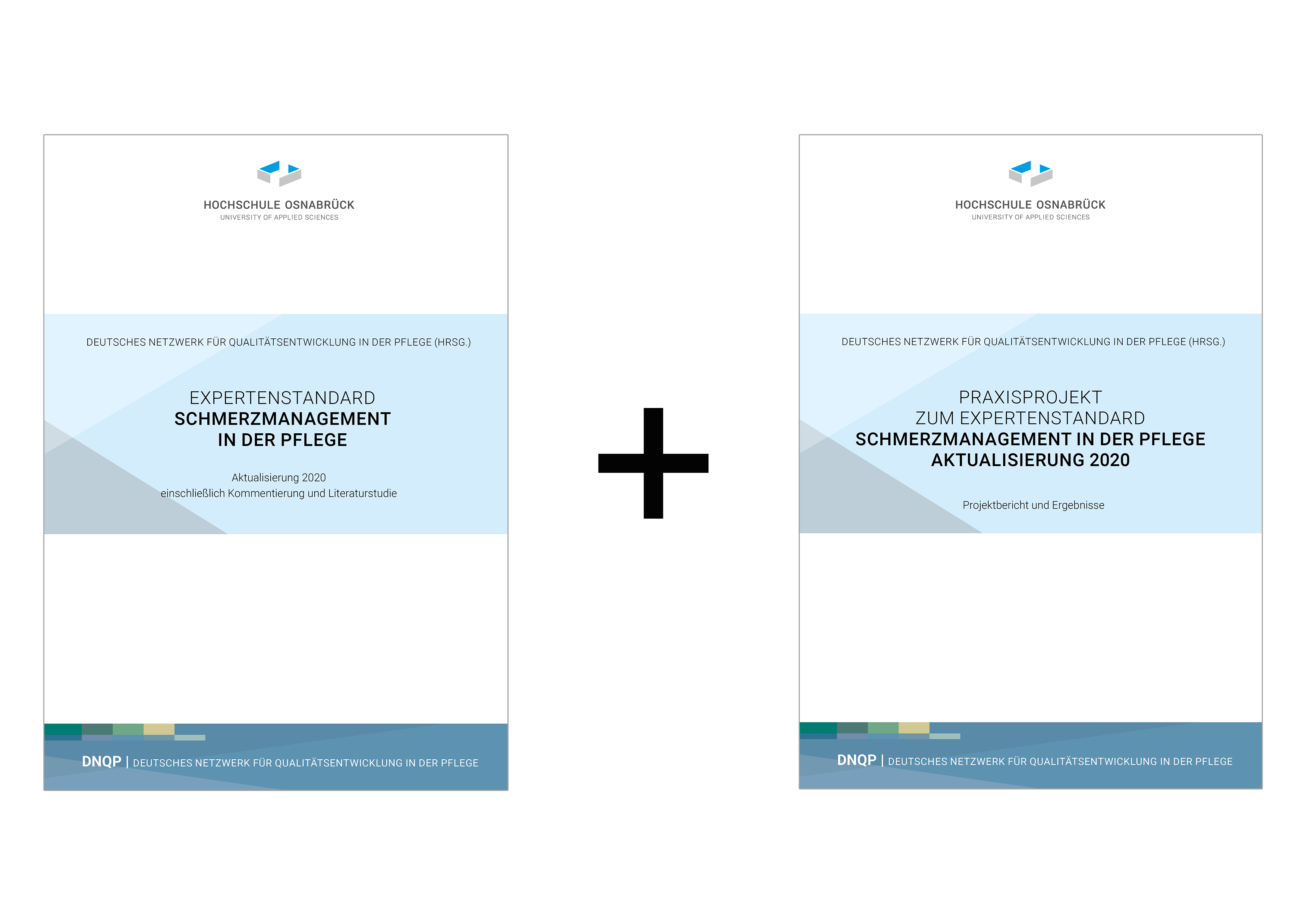 Bundle: Expertenstandard Schmerzmanagement und Praxisprojektbericht
