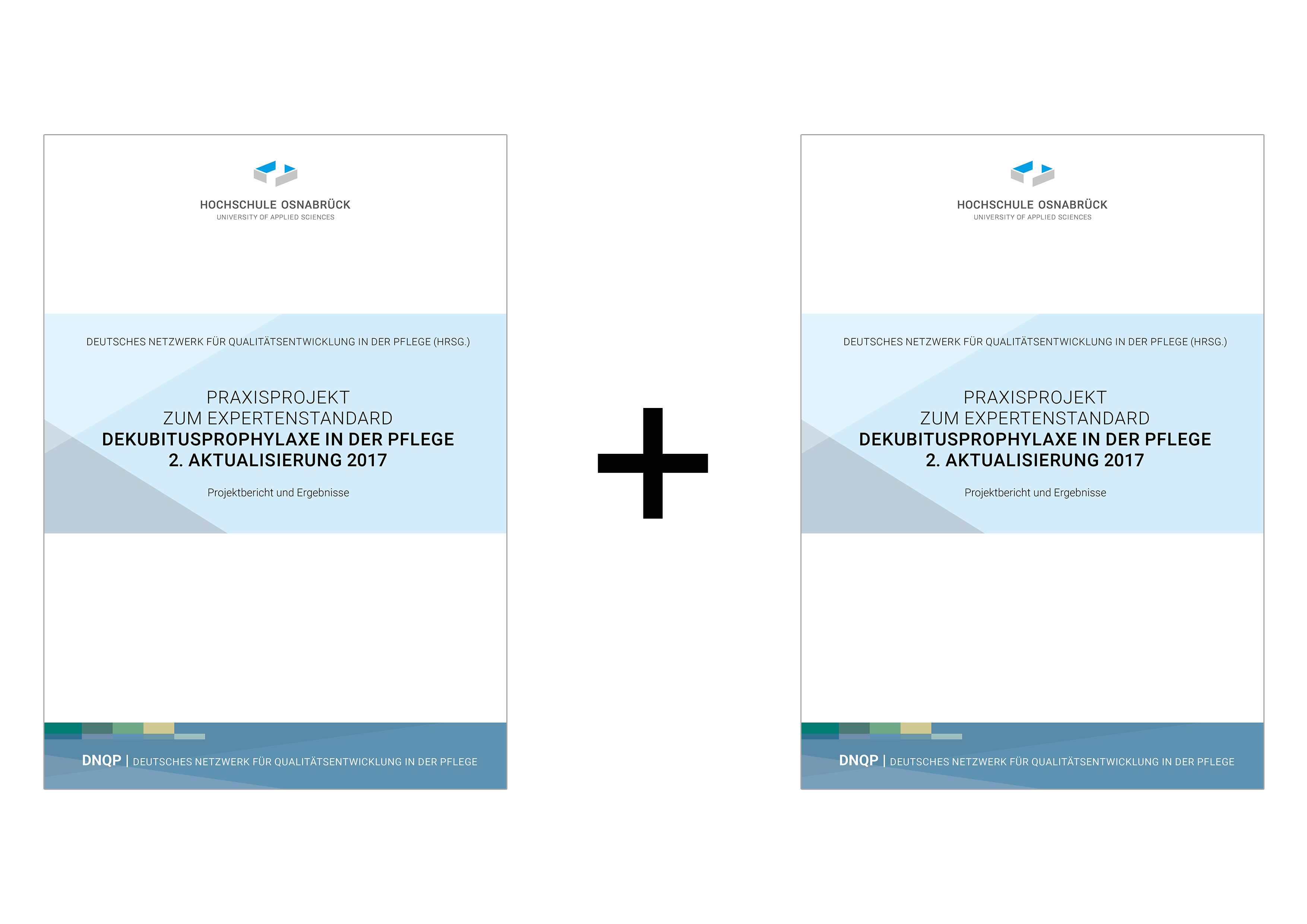 Bundle: Expertenstandard Dekubitusprophylaxe und Praxisprojektbericht