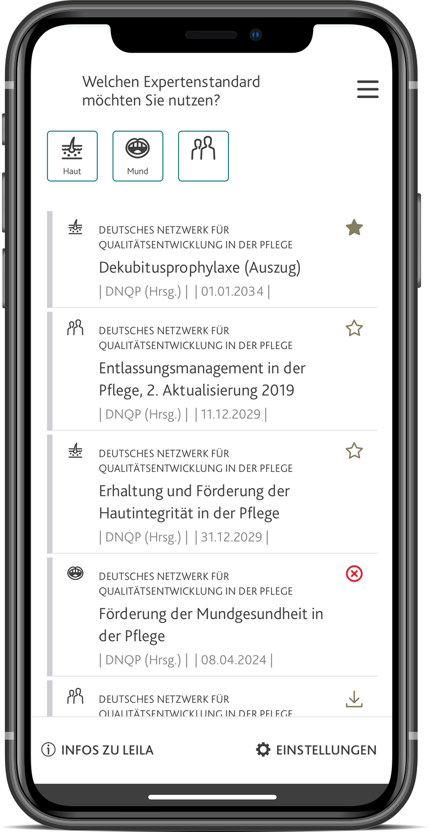 Digitaler Expertenstandard
